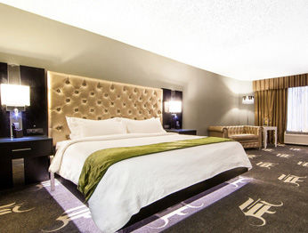 Wyndham Garden Dallas North 3*
